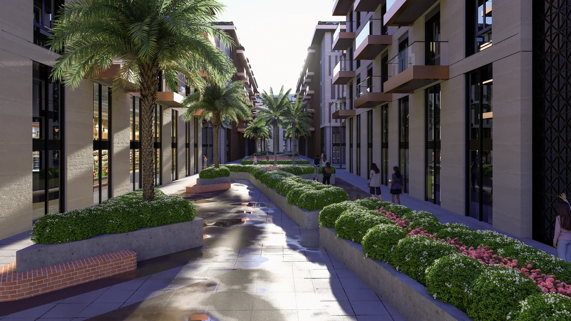 Palm Paradise