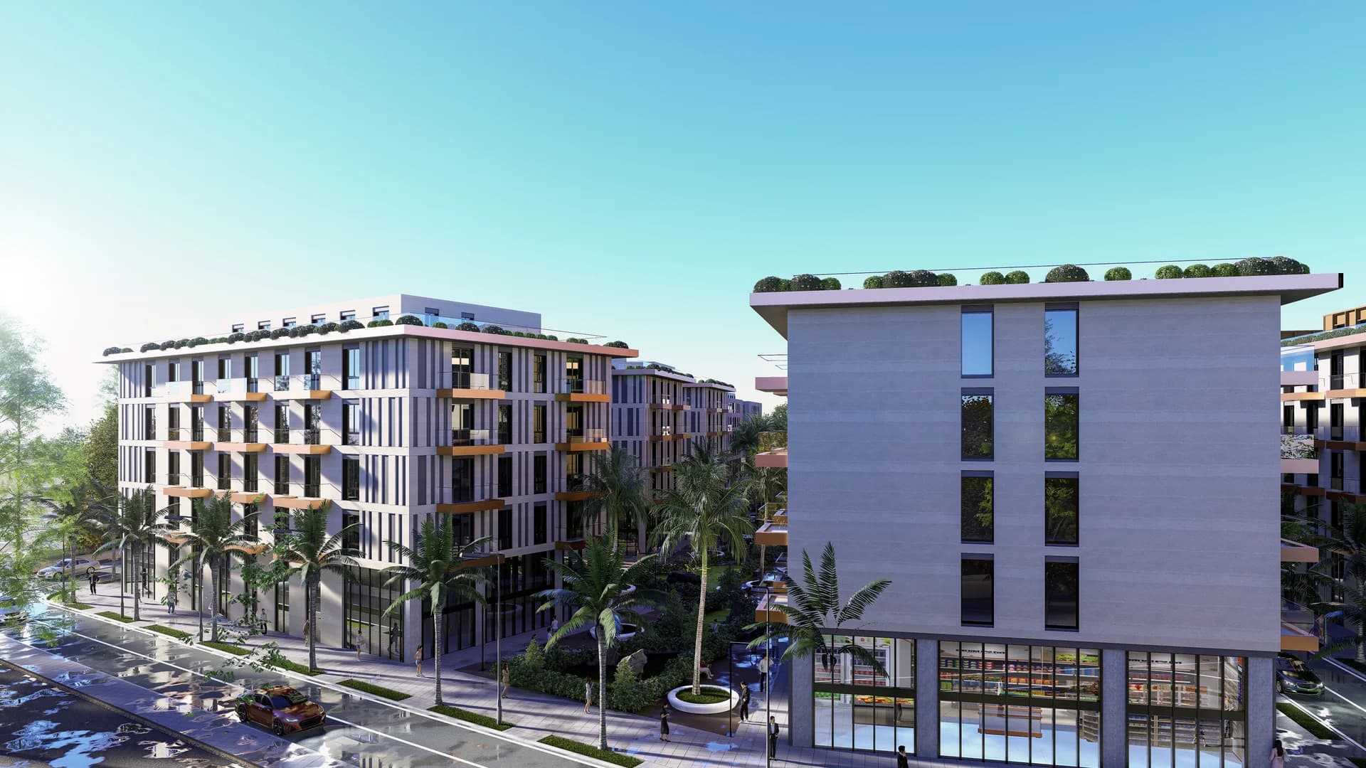 Palm Paradise