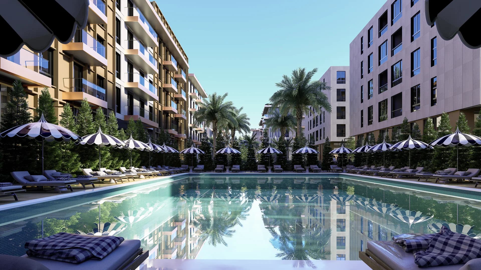 Palm Paradise